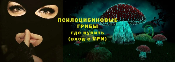 спиды Горно-Алтайск
