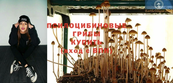 кокаин перу Горняк