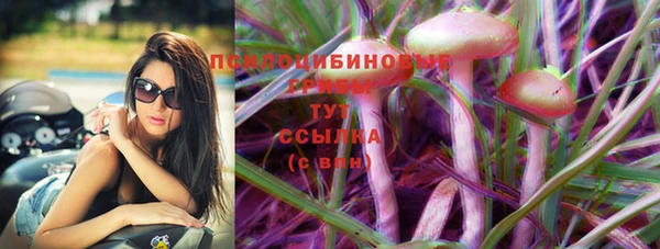спиды Горно-Алтайск